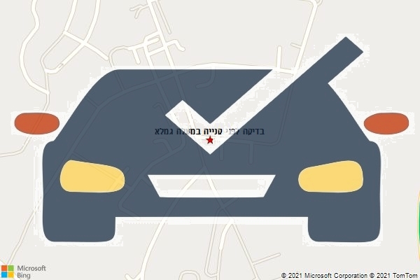 בדיקה לפני קנייה במעלה גמלא