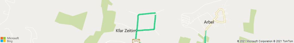 בדיקת רכב לפני קניה בכפר זיתים